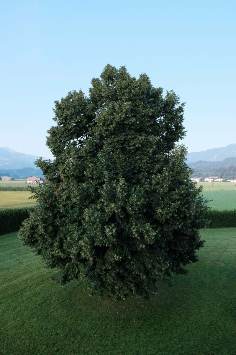 CI Tirol 2020 Photo 36